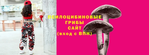 шишки Гусь-Хрустальный