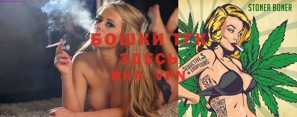 apvp Новозыбков