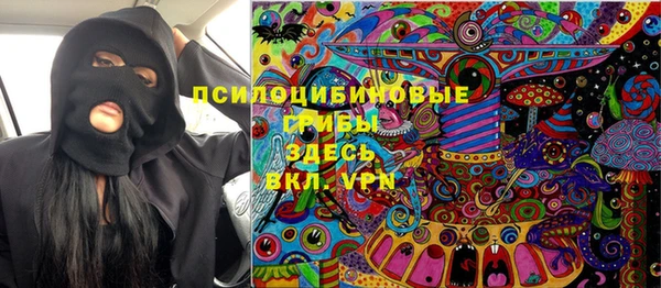 apvp Новозыбков