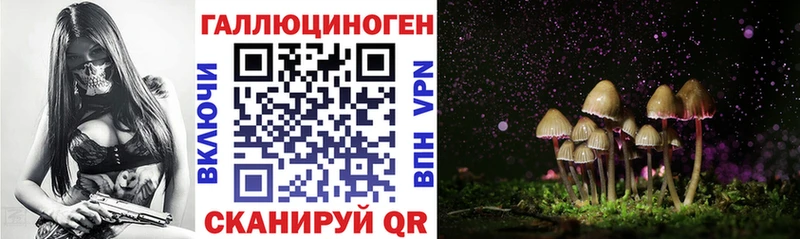 закладки  Вязьма  Галлюциногенные грибы Psilocybine cubensis 