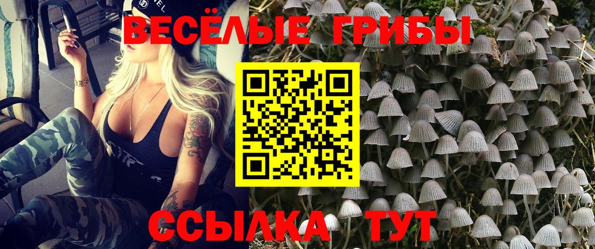 МЕФ Вязьма